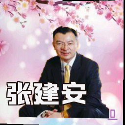 张建安